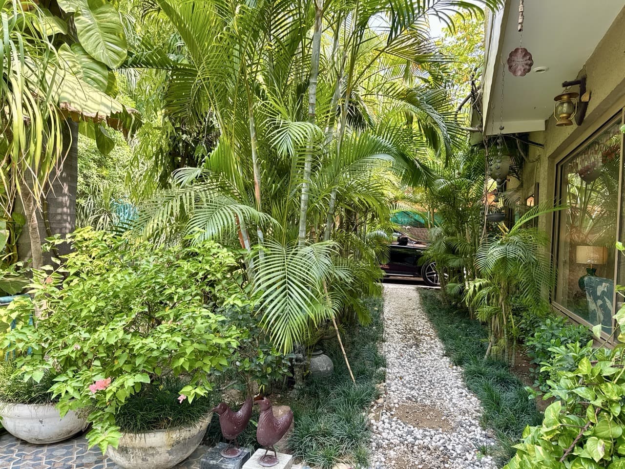 Tropical Escape in Urban Jungle - Image 5