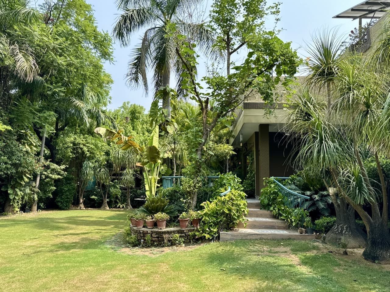 Tropical Escape in Urban Jungle