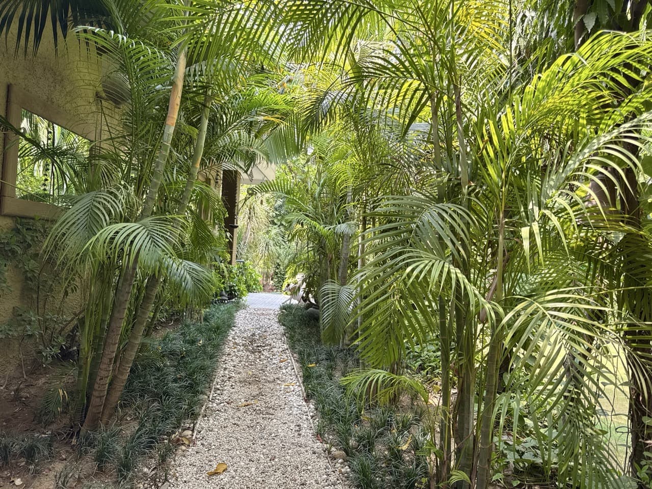 Tropical Escape in Urban Jungle - Image 2