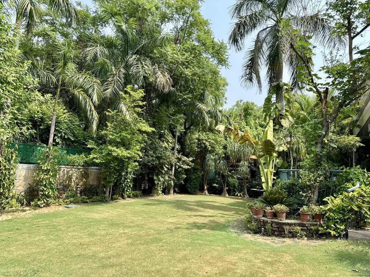 Tropical Escape in Urban Jungle - Image 3