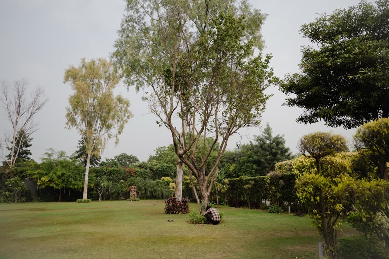 The Open Estate (events) - Image 3