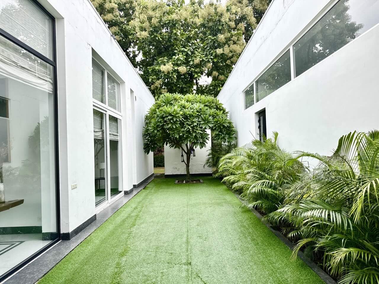 White on Green Canvas - Image 4