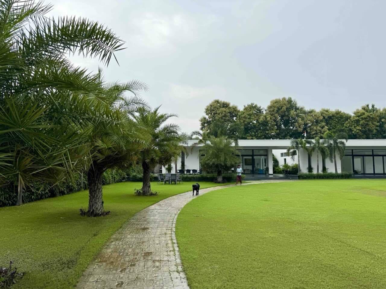 White on Green Canvas - Image 5