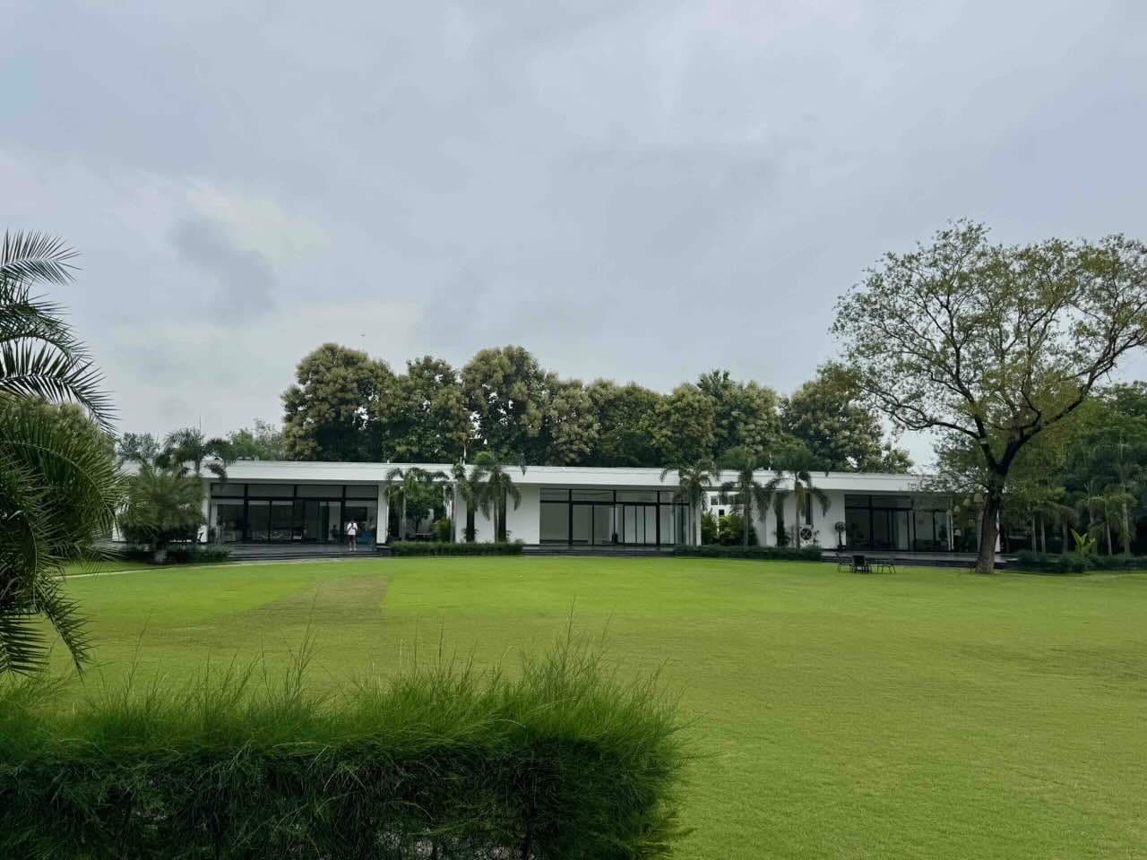 White on Green Canvas - Image 2